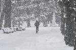 София - Снежна обстановка