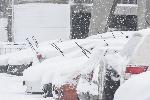 София - Снежна обстановка