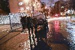 Кобила роди на улицата в квартал " Гео Милев "