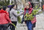 София - Търговия с върбови клонки