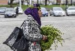 София - Търговия с върбови клонки
