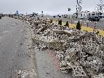 Събарят оградата до вълнолома във Варна