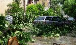 Бяла Слатина - Бедствено положение - Последици след силна буря