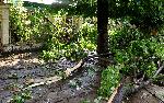 Бяла Слатина - Бедствено положение - Последици след силна буря