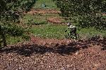 DRAG-Lokorsko-ENDURO CUP