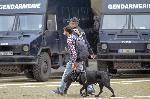 София - Благородна постъпка на полицай