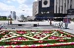София - Инсталация  "Жив килим от български рози“
