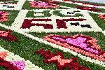 София - Инсталация  "Жив килим от български рози“