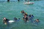 Бургас - Почистване на морското дъно от водолази