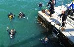 Бургас - Почистване на морското дъно от водолази
