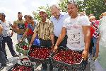 Стара Загора - Протест на производители на череши
