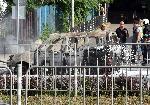 София - Изгорял автомобил - Булевард "България"