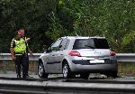 Бургас - Дърво паднало върху автомобил