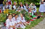 Чай от 10 пресни билки опитаха силистренци за Еньовден