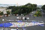 25-метрова риба от найлонови торбички изплува в Бургас