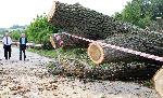 Силна буря удари Хасковско, остави пет села без ток