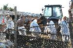 Село Шарково, Ямбол - Принудителна евтаназия на дребни преживни животни