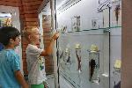 Варна Изложба препарати