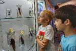 Варна Изложба препарати
