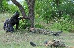 Бургас - Военноморско учение "Бриз 2018"