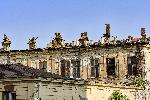 София - Пожар в " Царските конюшни "