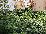 Варна - Разкопки