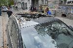 София - Паднало дърво - Щети