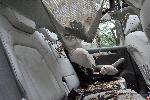 София - Паднало дърво - Щети