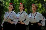 Село Винарово, община Ново село, Видинско - фолклорен събор "Бащино огнище с корени вековни“