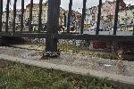 София - Катастрофа на Лъвов мост