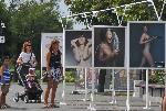 Холивудски звезди спасяват Световния океан с гола изложба