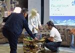 София – Представяне на книгата „Над 8000 метра. Гашербрум. Красивата планина “