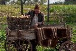 Село Свирачи, Ивайловград - Заснемане на филма на Мариус Куркински "Засукан свят" по разказа на Николай Хайтов