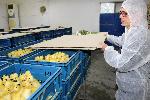 ХАСКОВО - Протест на работници от ферма за патици срещу БАБХ