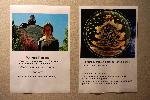 Варна - Изложба със снимки на рисунки от микроорганизми