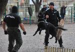 Бургас - Демонстрация на "Специализираните полицейски сили"