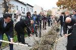 Засадиха дървета като символ на мирното съжителство на различните народности в Пловдив