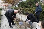 Пловдив - Ден на толерантността