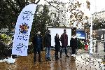 София - Подлез - Рисунки - Шампиони