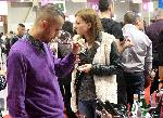 Софиа - Изложение на български вина