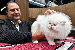 СОФИЯ - Музей "Земята и хората" -  55-та и 56-та изложба на котки