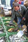 Бургас - Пазар на риба