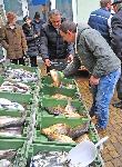 Бургас - Пазар на риба