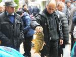 Бургас - Пазар на риба