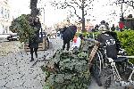 София - Палатков лагер - Майки на деца с увреждания
