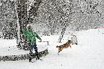София - Снеговалеж
