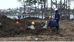 Изсякоха борова гора заради нов строеж на къмпинг "Арапя"