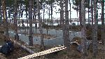 Къмпинг "Арапя", Царево - Унищожена борова гора заради строеж