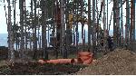 Къмпинг "Арапя", Царево - Унищожена борова гора заради строеж