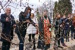 Евксиноград - Зарязване на лозята